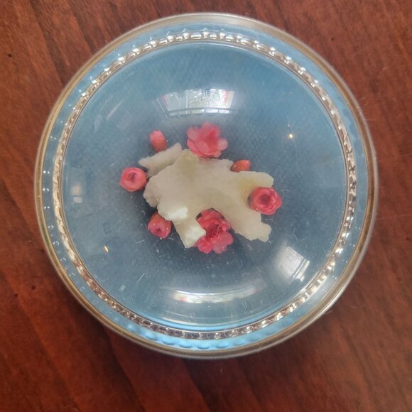 Vintage Lucite Paperweight Set With Natural Shells Flowers & Pinecone In Clear D - Picture 6 of 8